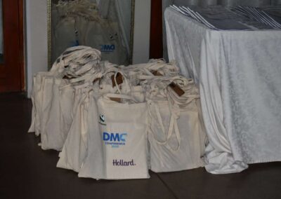 DMC Hollard Conference 2025